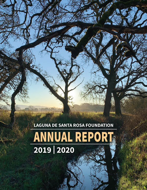 Laguna Foundation 2017-18 Annual Report